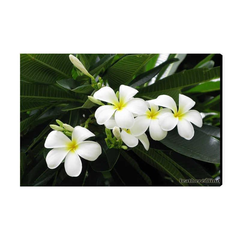 تابلو شاسی عرش مدل فانتزی گل کد As5047