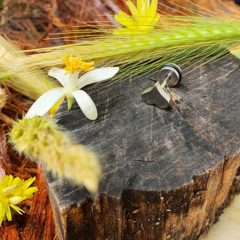 پیرسینگ گوش زنانه پایتخت مدل PS270