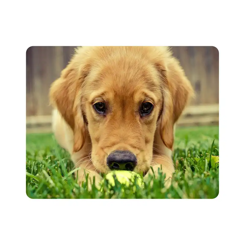 ماوس پد اطلس آبی طرح سگ مدل T1525