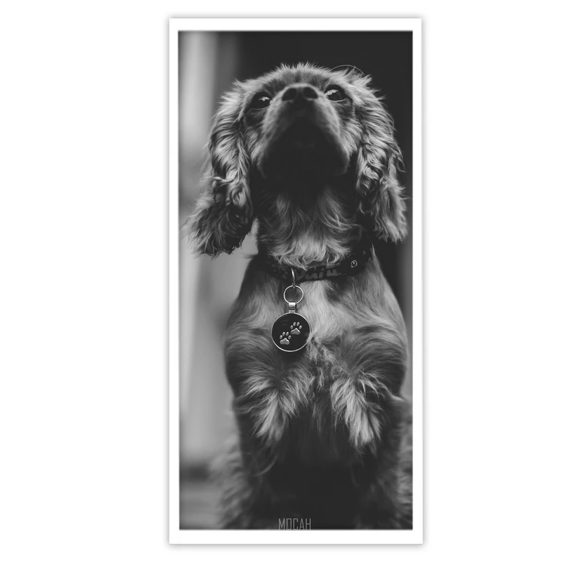 تابلو بکلیت طرح حیات وحش سگ پاکوتاه مدل W-S3100