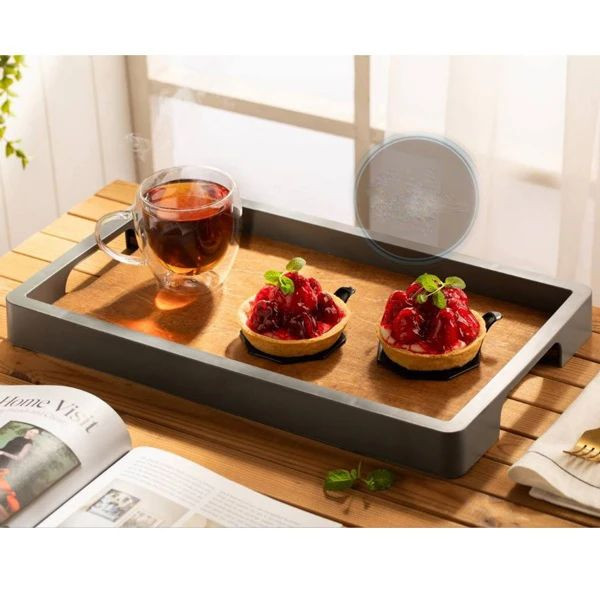 سینی رایکا مدل مستطیل کد DH51