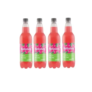 نوشیدنی گازدار هوفنبرگ با طعم کاکتوس - بسته 1 لیتر 4 عددی