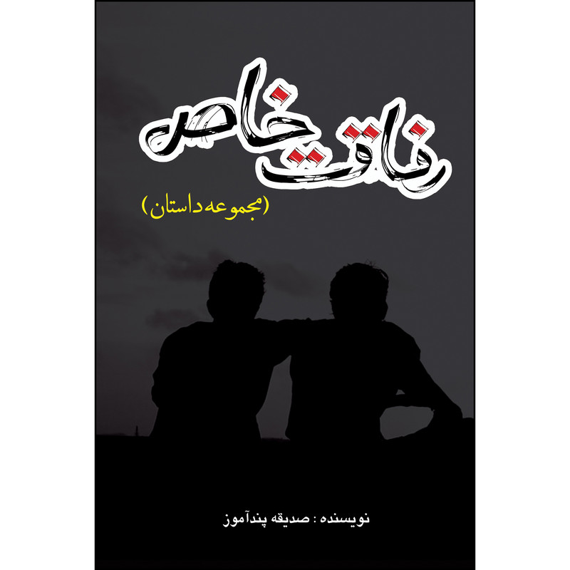 کتاب رفاقت خاص اثر صدیقه پندآموز انتشارات ارسطو