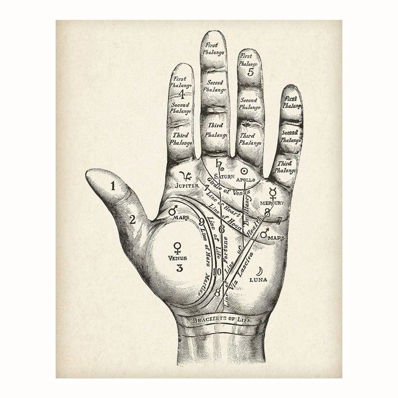 پوستر مدل چارت نخل خوانی 