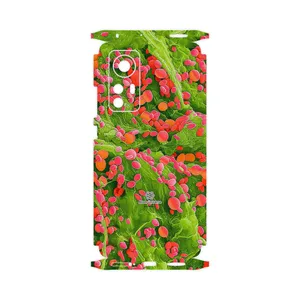 MAHOOT Atom Universe 3-FullSkin Cover Sticker for Xiaomi 12