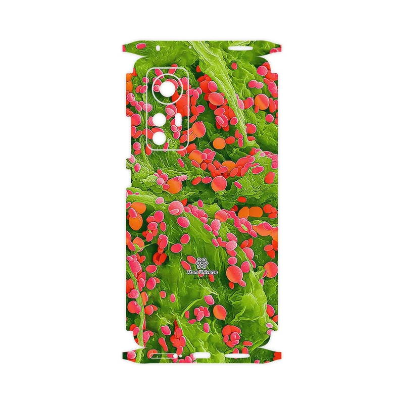 برچسب پوششی ماهوت مدل Atom Universe 3-FullSkin مناسب برای گوشی موبایل شیائومی 12