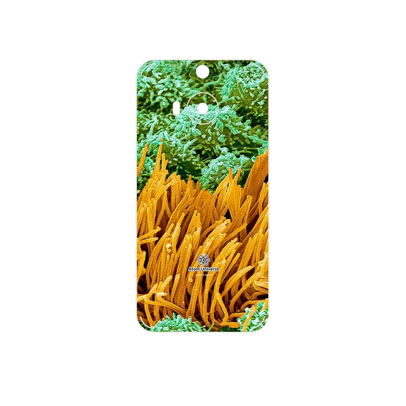 برچسب پوششی ماهوت مدل Atom Universe 6 مناسب برای گوشی موبایل اچ تی سی One M9