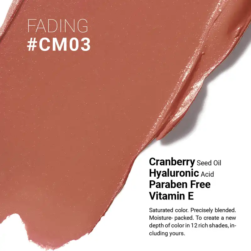 رژ لب مدادی اشتون مدل مات مخملی شماره CM03