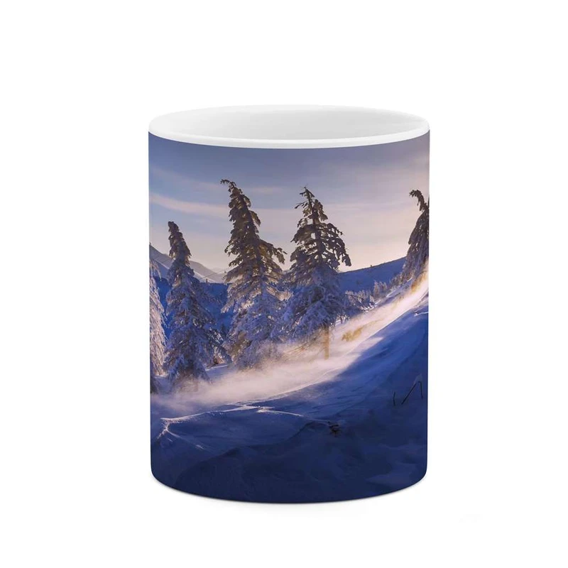 ماگ کاکتی مدل منظره کد mgh16757