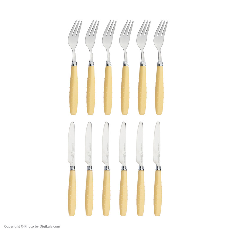 ست کارد و چنگال میوه خوری 12 پارچه مونیکا مدل stainless steel کد 01