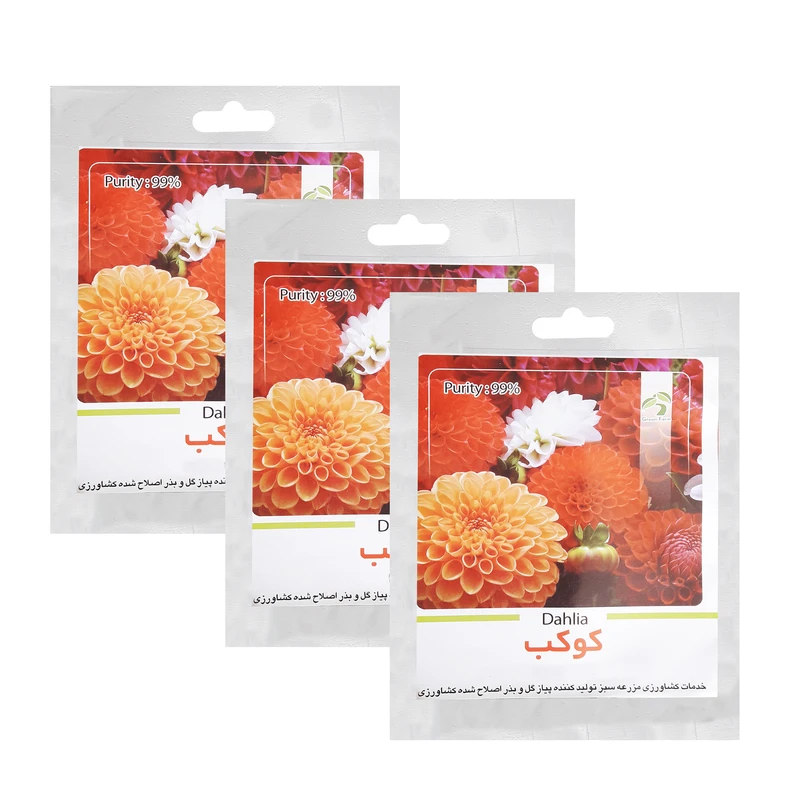 بذر کوکب گرین فارم کد JJT 25 بسته 3 عددی