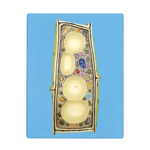 کیت آموزشی مولاژ مدل سلول گیاهی کد 01