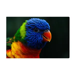 تابلو شاسی عرش مدل پرنده طوطی کد As1660