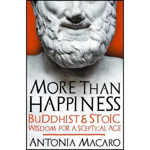 کتاب More Than Happiness اثر Antonia Macaro انتشارات Icon Books