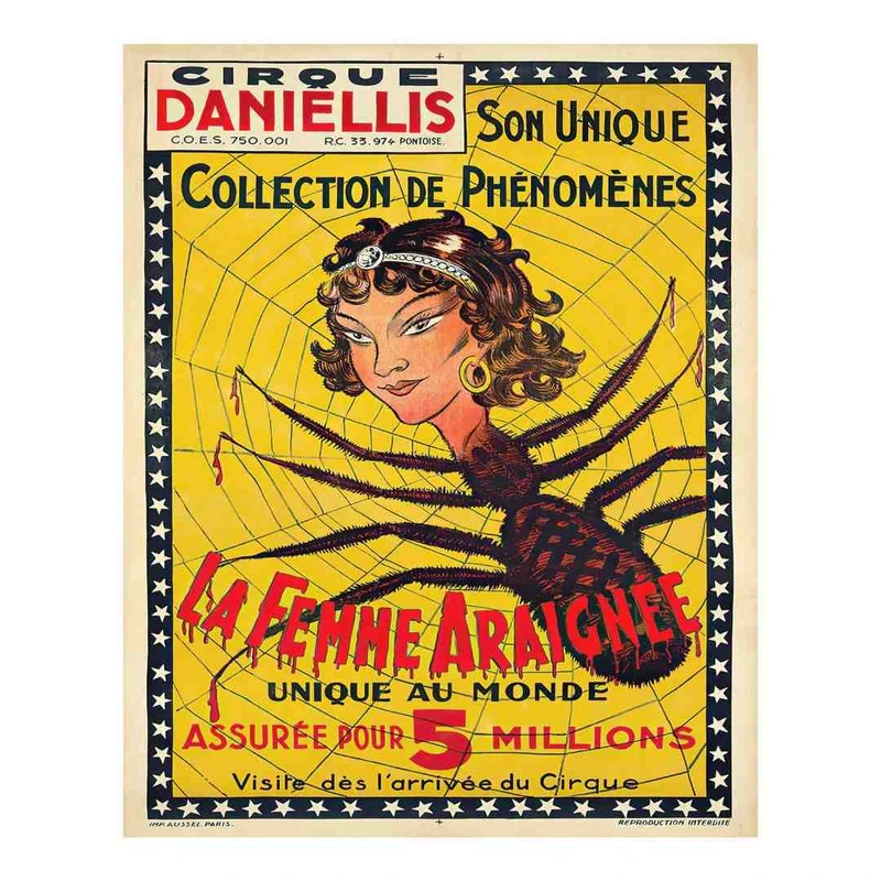 پوستر مدل زن عنکبوتی