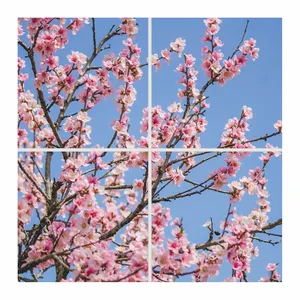 تایل سقفی آسمان مجازی مدل SK-428 سایز 60x60 سانتیمتر مجموعه 4 عددی