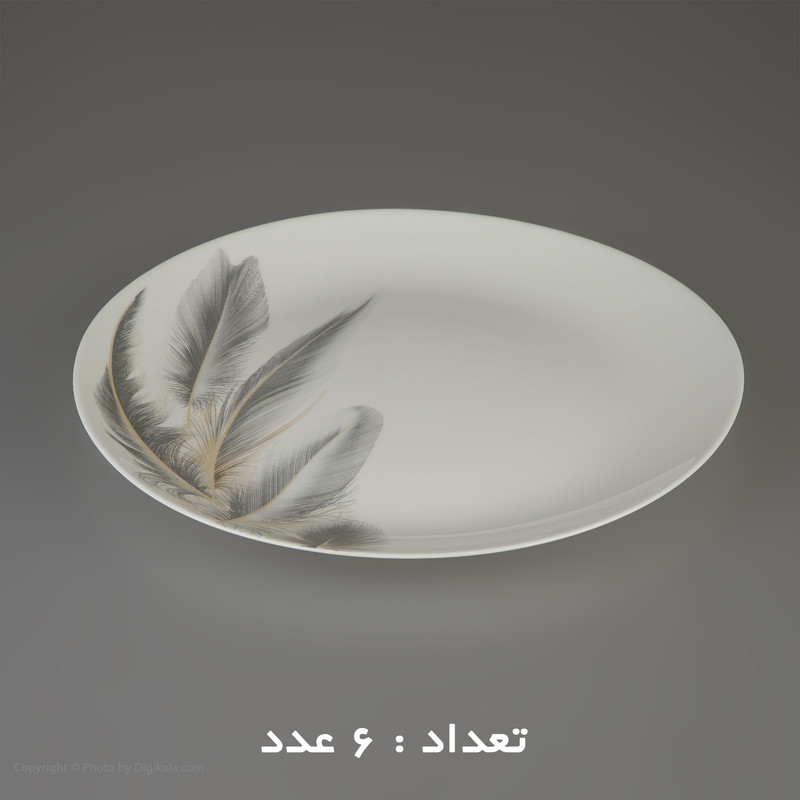 سرویس 26 پارچه اپال طرح دایره مدل کلاسیک آیهان