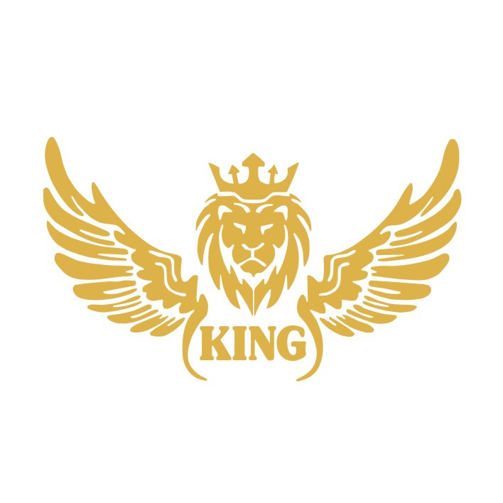 برچسب بدنه خودرو مدل شیر بال کد NG1