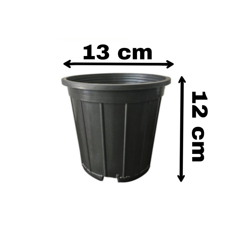 گلدان مدل n13 بسته 240 عددی