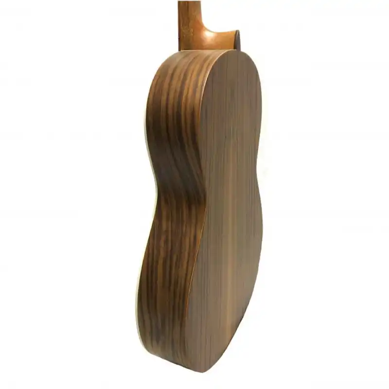 گیتار مدل M6