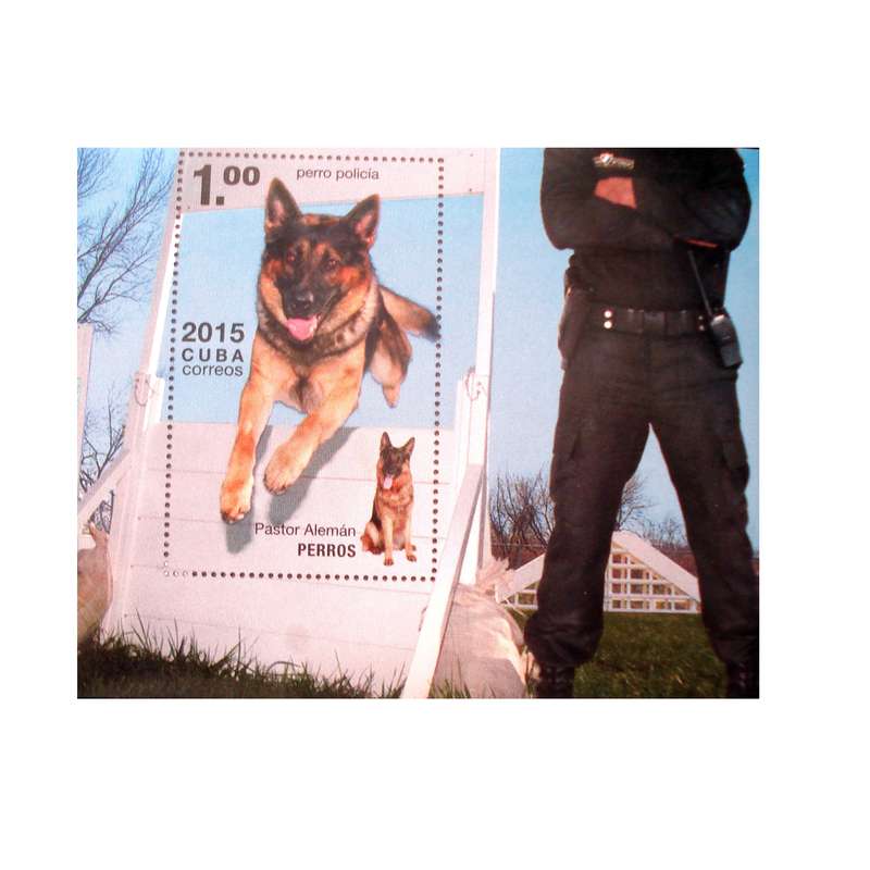 تمبر یادگاری مدل حیوانات کد DS2006 