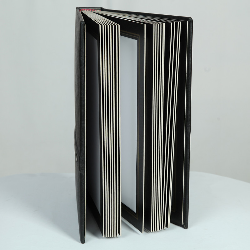 آلبوم عکس مدل A 20