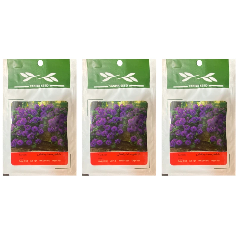 بذر گل شاهپسند بنفش وانیا مدل Purple Verbena بسته 3 عددی