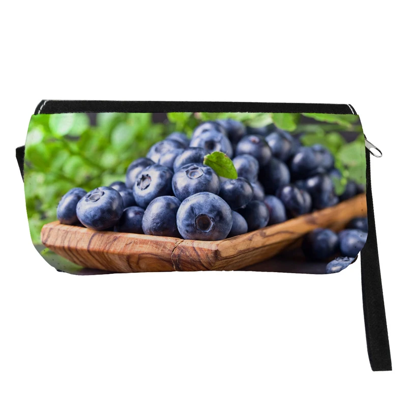  جامدادی مدل دوزیپ طرح بلوبری کد NI1327