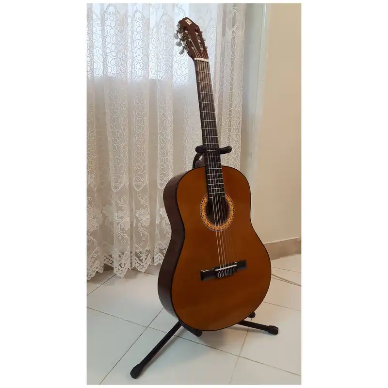 گیتار مدل فرد مدل dersis