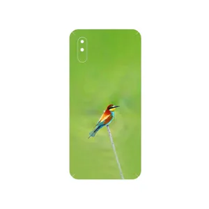 MAHOOT European bee-eater Cover Sticker for Xiaomi Redmi 9i Sport