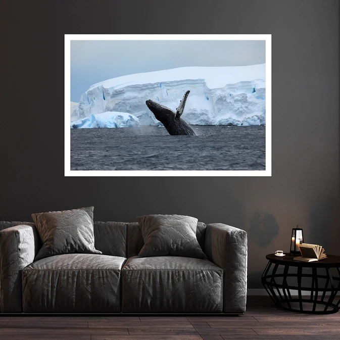 تابلو بکلیت طرح منظره کوه یخ آنتاراکتیا مدل قاب شاسی W-s8983