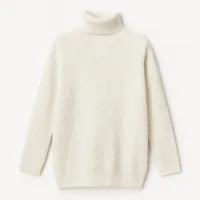 پلیور یقه اسکی زنانه مدل 465465