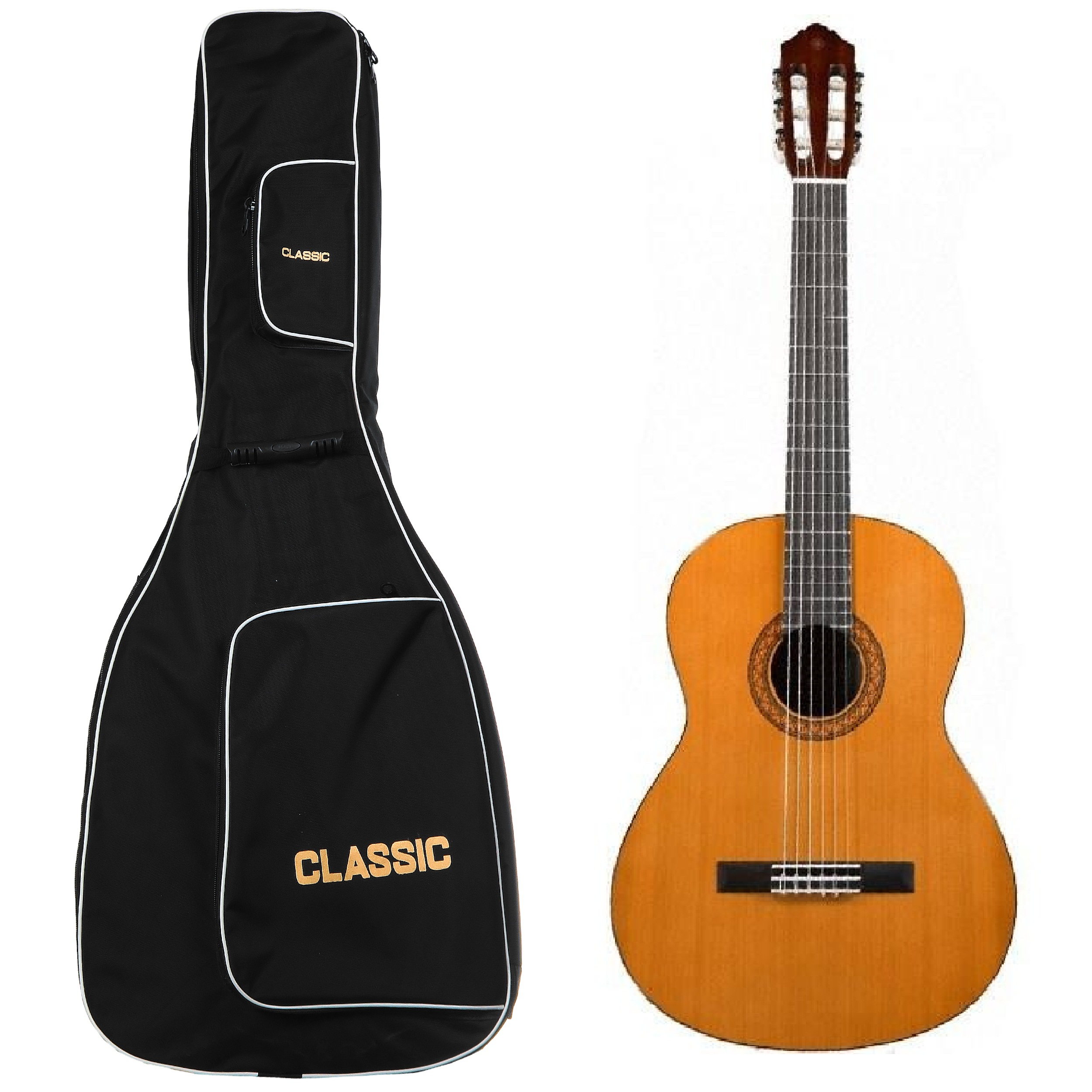 سافت کیس گیتار مدل CLASSIC کد C1