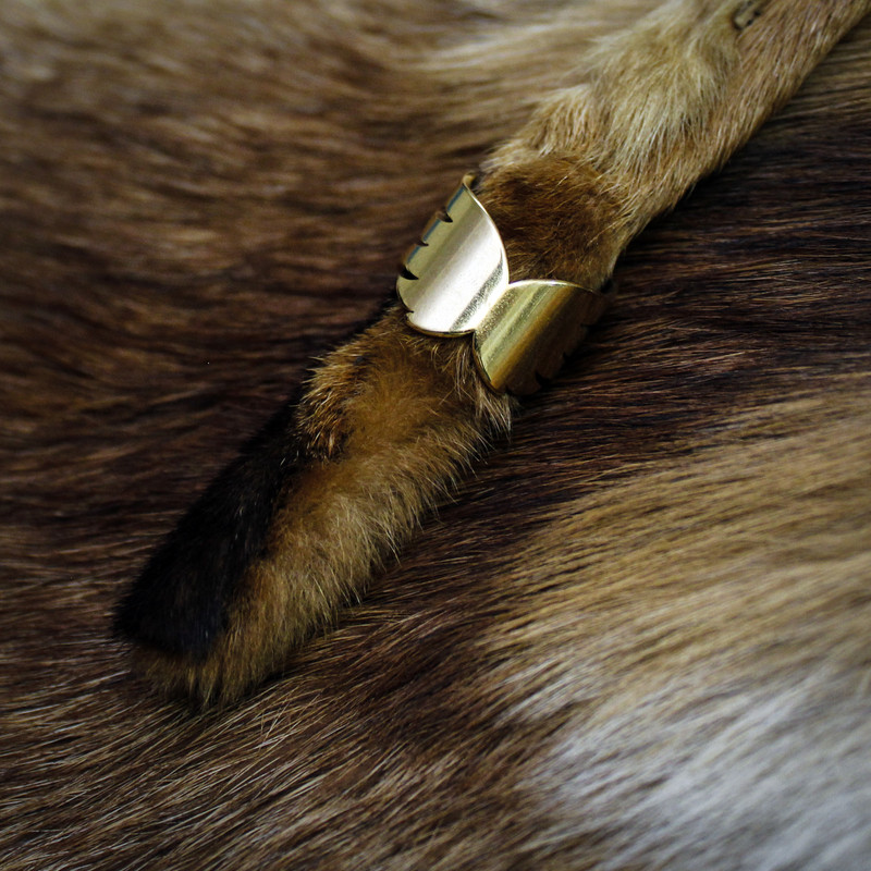 انگشتر زنانه طرح بال کد S133 انگشتر زنانه طرح بال کد S133