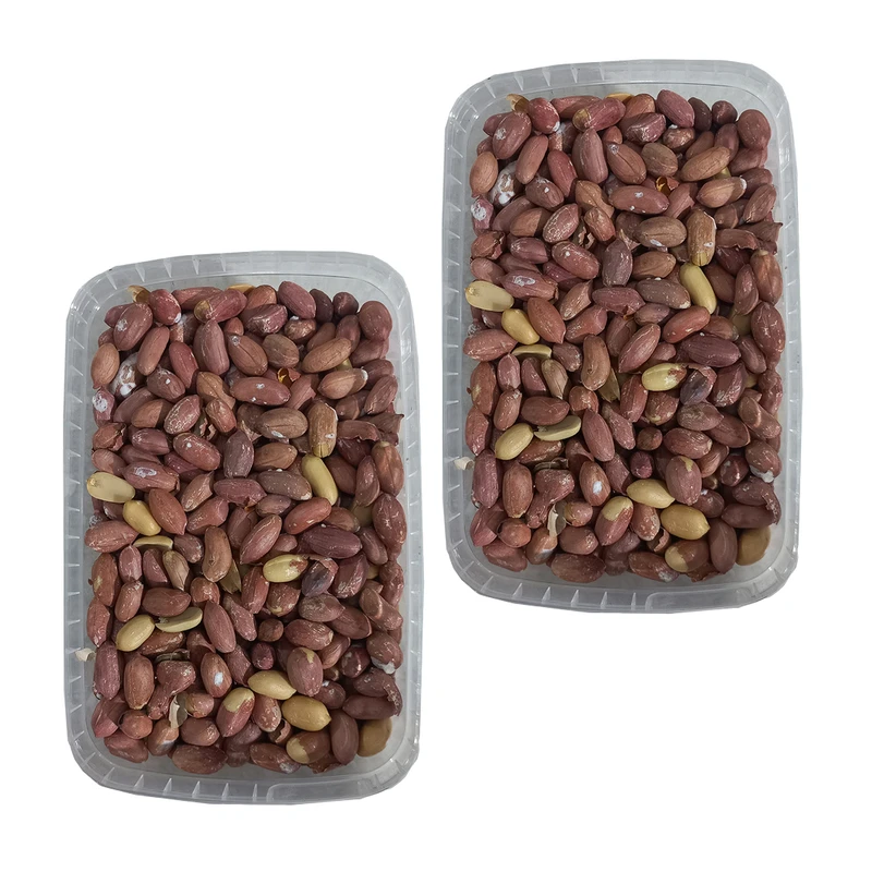 بادام زمینی آستانه - 1200 گرم بسته 2 عددی