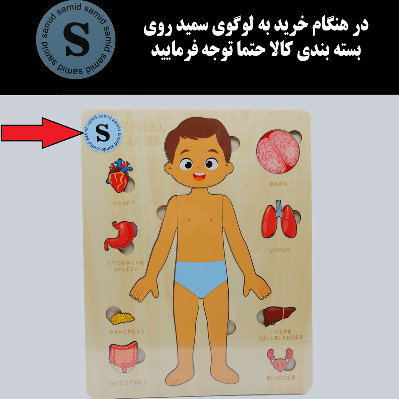 بازی آموزشی سمید مدل جورچین چوبی اعضای بدن انسان کد 1000