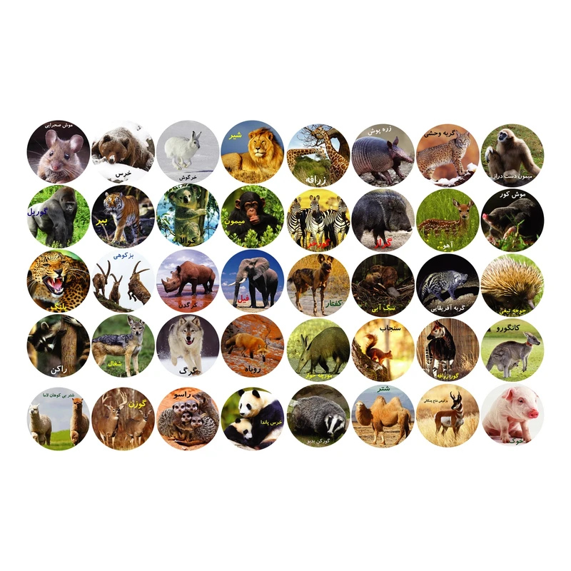 استیکر مدل آموزشی طرح حیوانات وحشی کد KM-HGY مجموعه 40 عددی