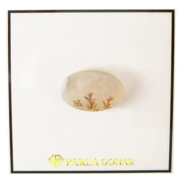 سنگ شجر پارلا گوهر کد 5081