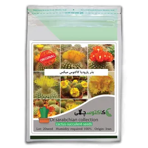 بذر پارودیا کاکتوس میکس کاکتوسچی مدل AM-071