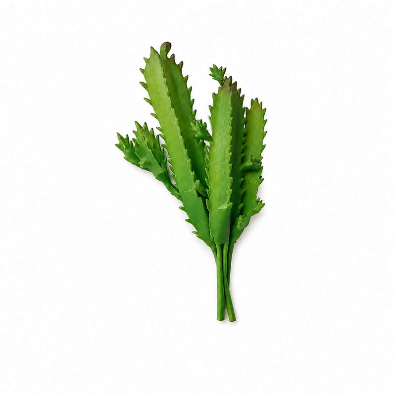 گل مصنوعی مدل رو میزی