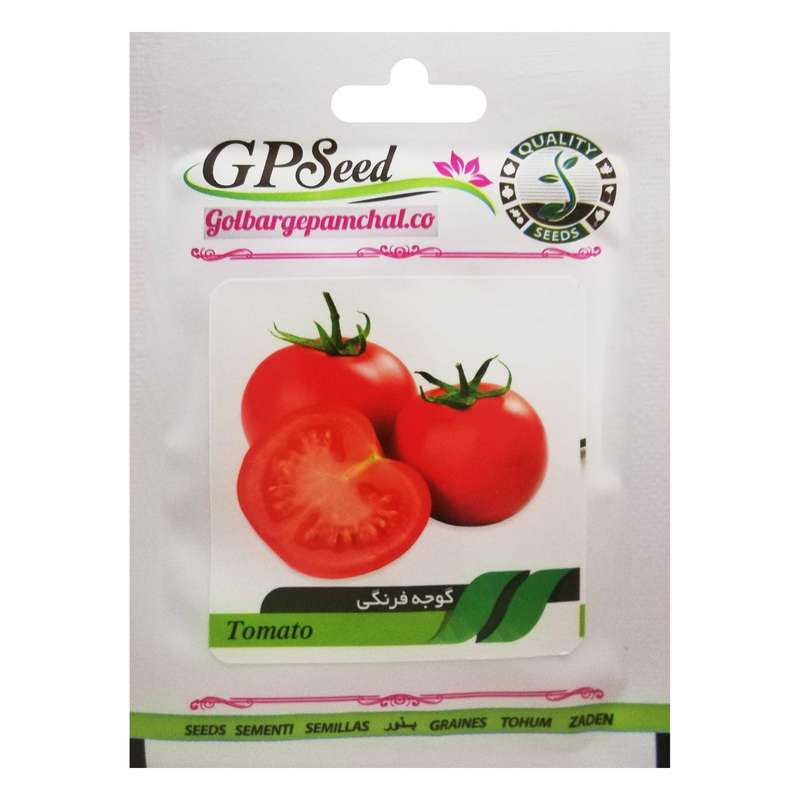 بذر گوجه فرنگی گلبرگ پامچال کد GPF-130 بذر گوجه فرنگی گلبرگ پامچال کد GPF-130