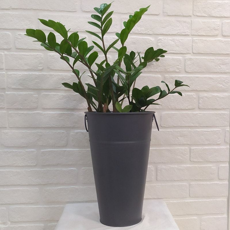 گلدان مدل تورینگ بلوم 40 گلدان مدل تورینگ بلوم 40