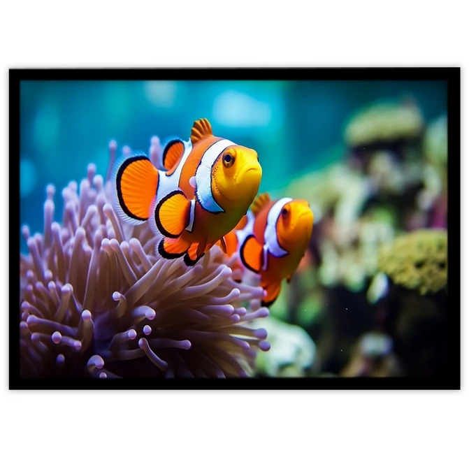 تابلو نوری بکلیت طرح اقیانوس دلقک ماهی مدل B-MID-17496
