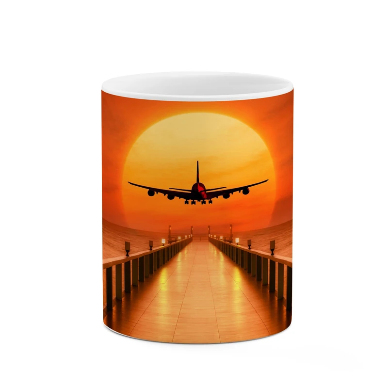 ماگ کاکتی طرح هواپیما در غروب کد mgp10448