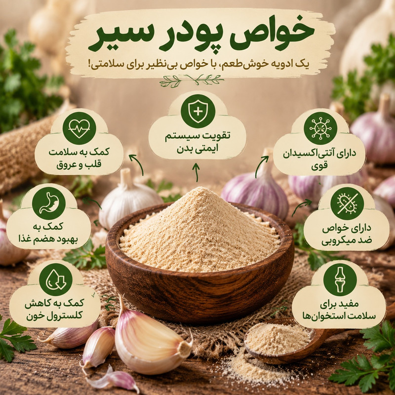 پودر سیر سوپر معطر روستاچی _ 300 گرم بسته 2 عددی