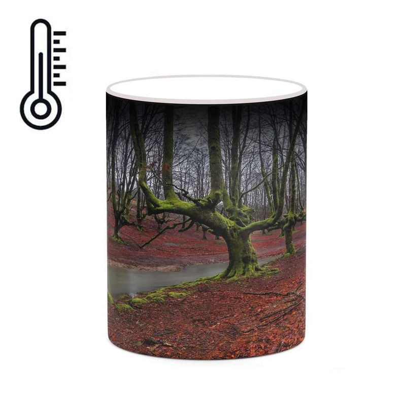 ماگ حرارتی کاکتی مدل منظره پاییزی کد mgh18545