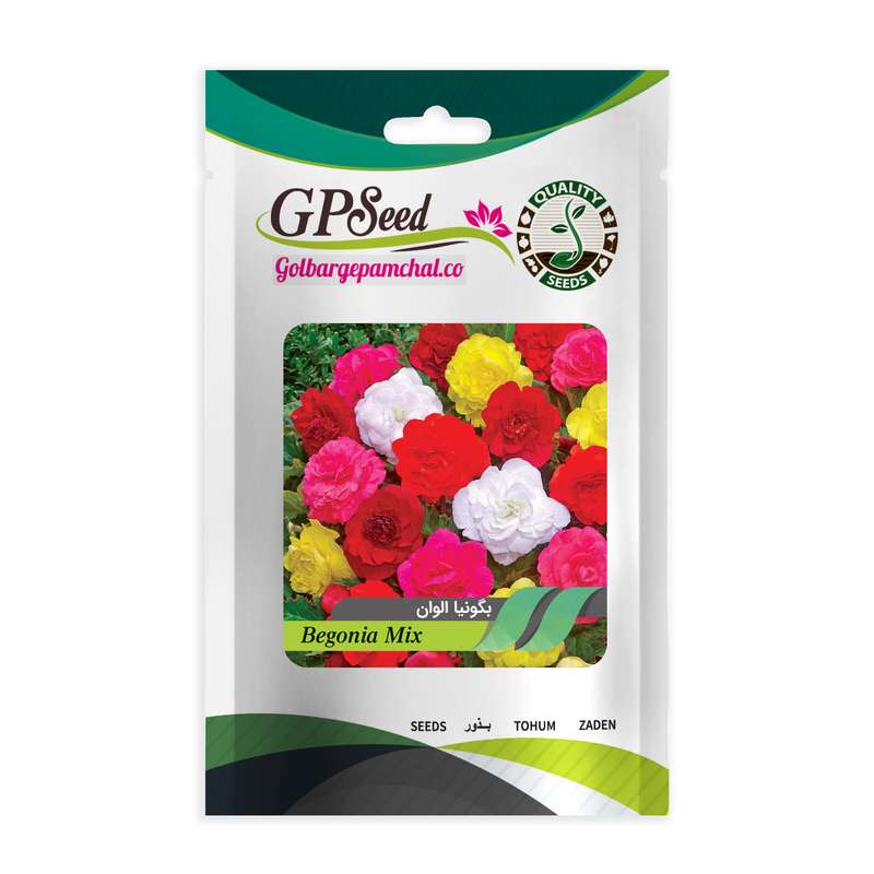 بذر گل بگونیا الوان گلبرگ پامچال کد GPF-280