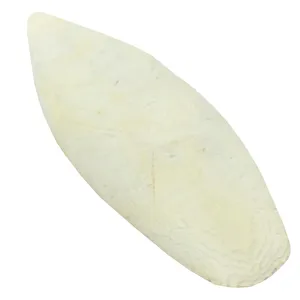 کف دریا کد M122 وزن 100 گرم