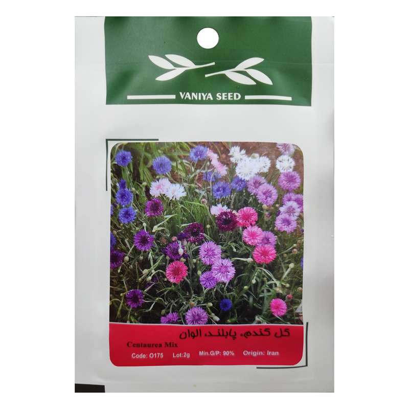 بذر گل گندم پابلند الوان وانیا سید مدل O175