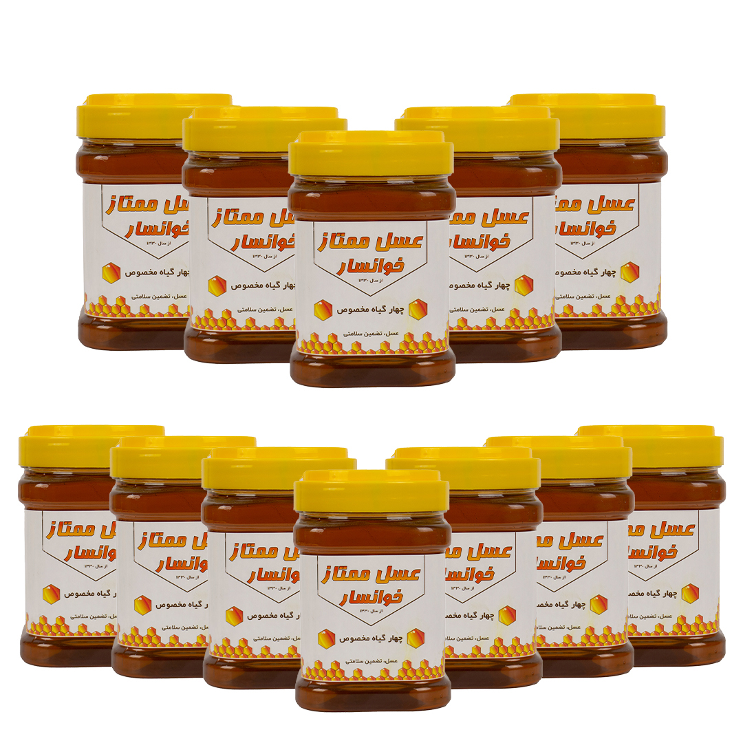 عسل چهارگیاه نمونه خوانسار - 1000 گرم - بسته 12 عددی